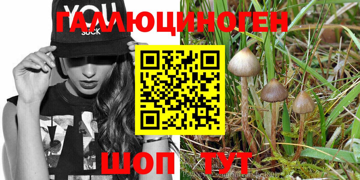 Галлюциногенные грибы Magic Shrooms Красногорск