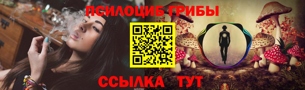 Галлюциногенные грибы MAGIC MUSHROOMS  Вход с VPN  Красногорск 